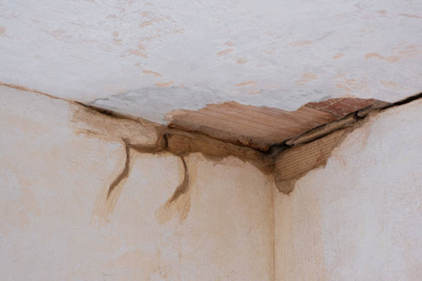 Professional Water damage restoration in Palmyra, PA
