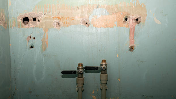 Water damage restoration insurance claims in Palmyra, PA