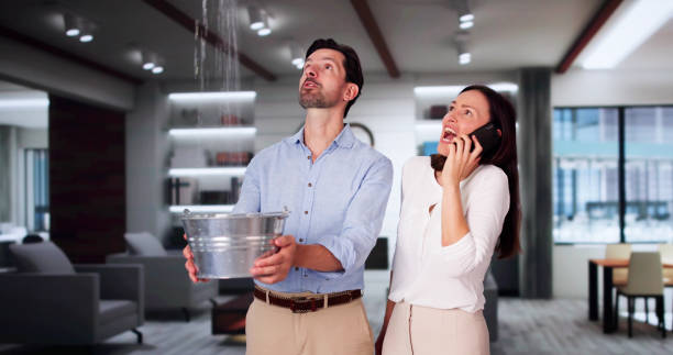 Best Basement water damage restoration  in Lmyra, PA