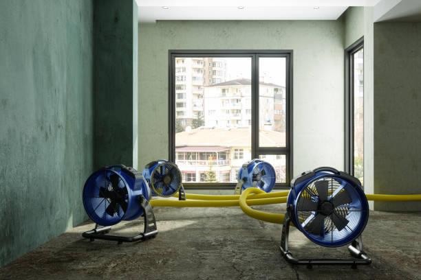 Best Water damage repair service  in Lmyra, PA