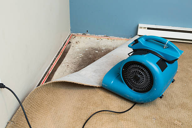 Best Water damage restoration near me  in Lmyra, PA